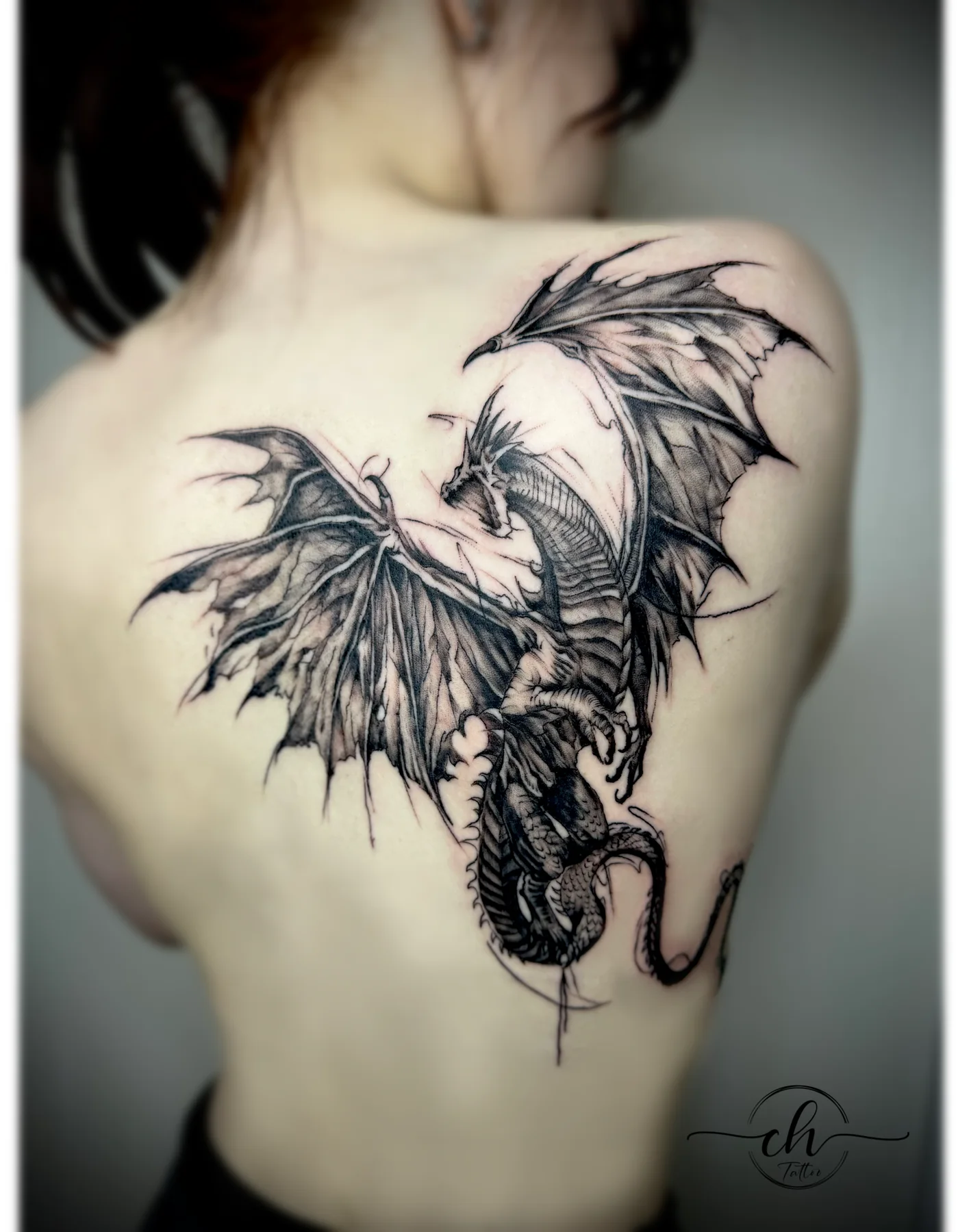 Black and grey dragon tattoo on a client's back