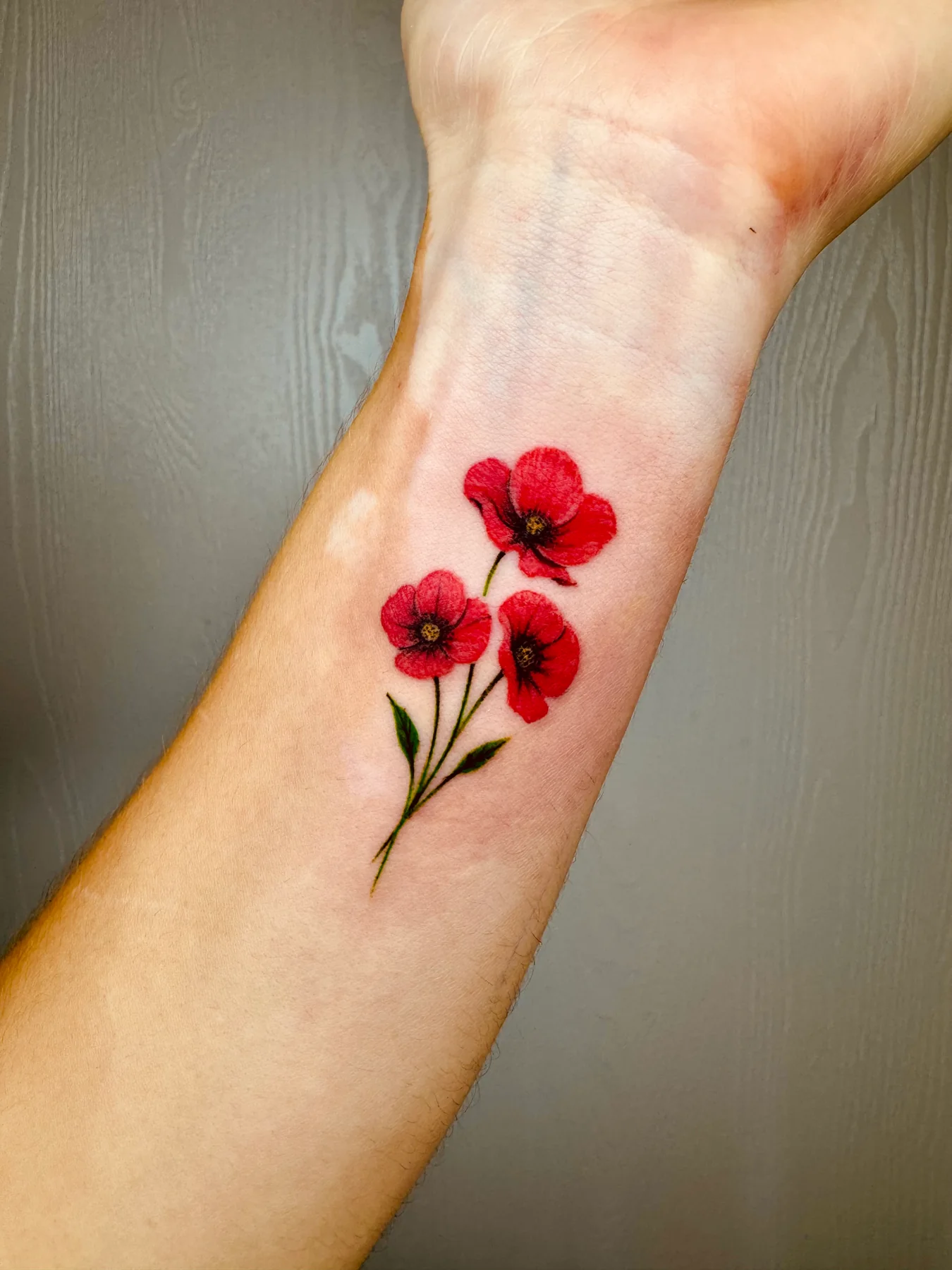 Color poppy tattoo on a client's forearm